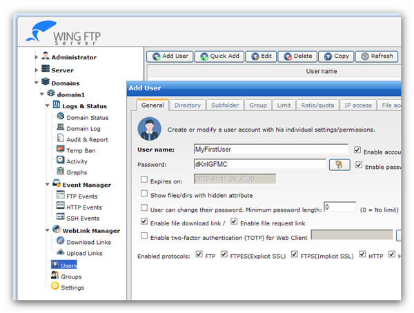 Wing FTP Server入門指南3