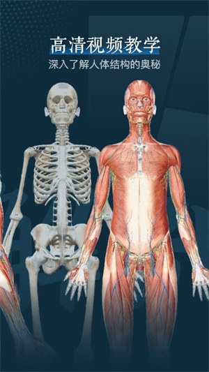 2023人体解剖学图谱app安卓版 第3张图片