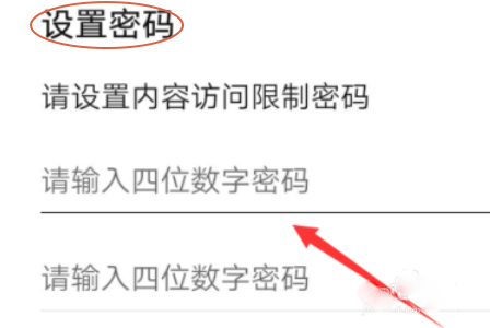 怎么設(shè)置訪問密碼4