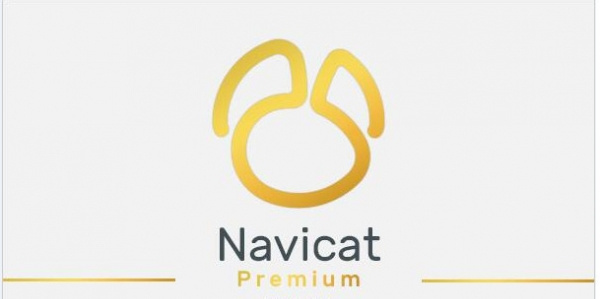 Navicat Premium 17破解版 第1張圖片