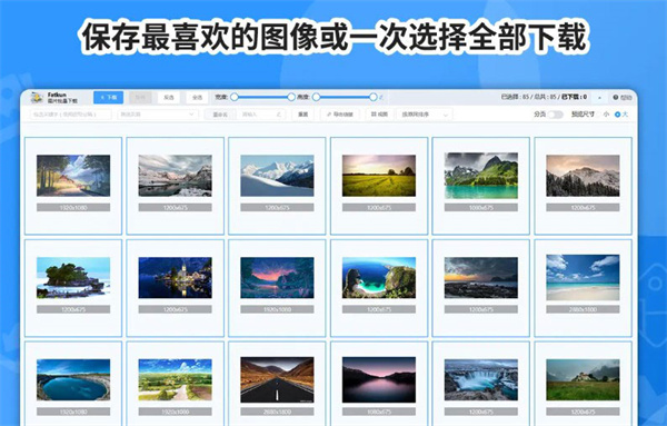 Fatkun圖片批量下載插件最新版 第1張圖片