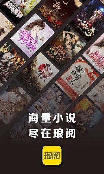 琅阅小说app官方版下载 第4张图片