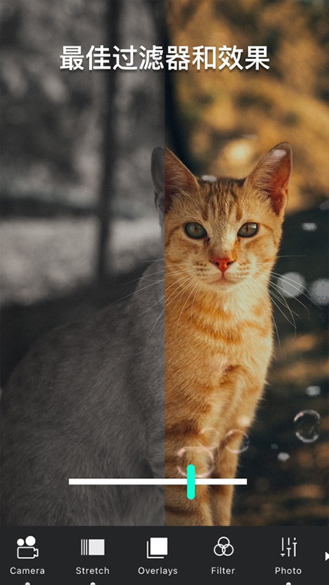 Vimage安卓手机中文版下载 第1张图片