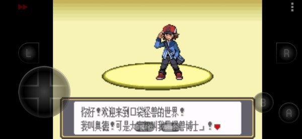 口袋妖怪黑白内置金手指版 第3张图片