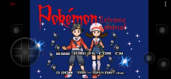 口袋妖怪黑白内置金手指版 第4张图片