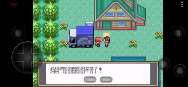 口袋妖怪黑白内置金手指版 第1张图片