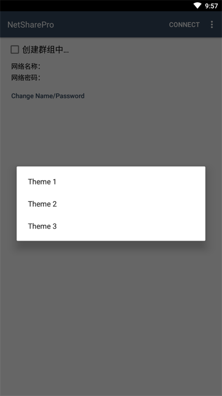 NetShare Pro破解版下载 第1张图片