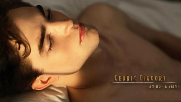 HP不靠谱学长攻略指南清软完整版 第3张图片