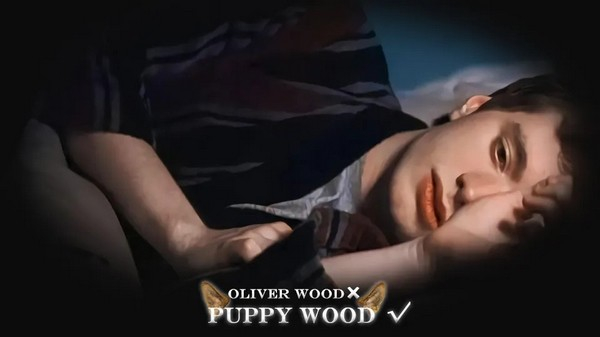 HP不靠谱学长攻略指南清软完整版 第1张图片