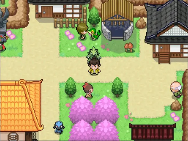 宝可梦武士道手机版下载 第2张图片