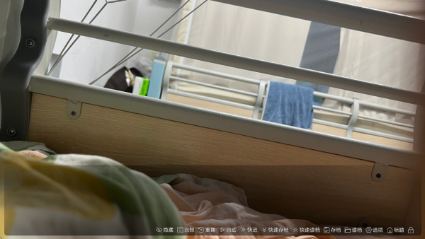 沙湖神大人求包养游戏手机版下载 第4张图片