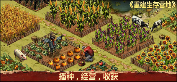 重建生存营地手游下载 第3张图片