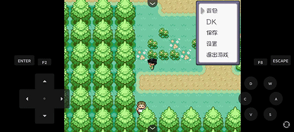 口袋妖怪燃之智最新版下载 第4张图片