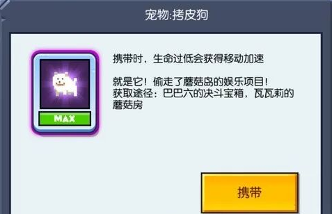 宠物攻略截图1