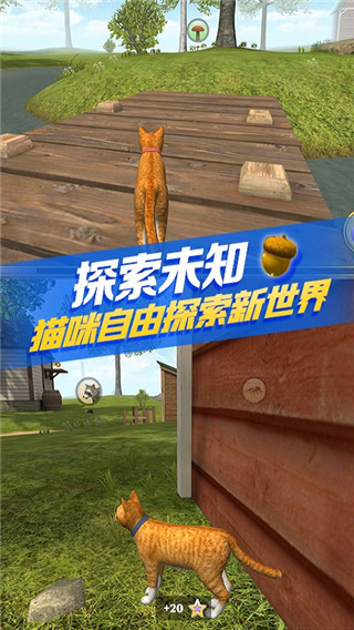 猫咪生存模拟器无限金币版 第5张图片