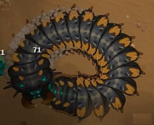 赛特·沙之女王