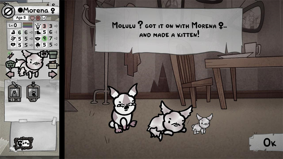 繁育指南——如何培育最优秀的猫咪截图4