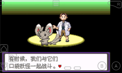 口袋妖怪漆黑的魅影5.0EX+BW内置作弊菜单版 第1张图片