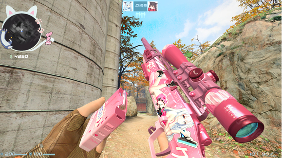 皮肤包包含物品截图4