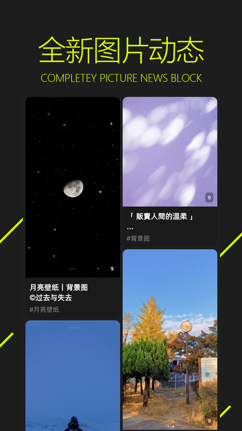 图凌壁纸app官方最新版 第4张图片