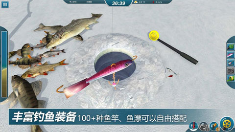 冰钓大师无限金币版 第4张图片