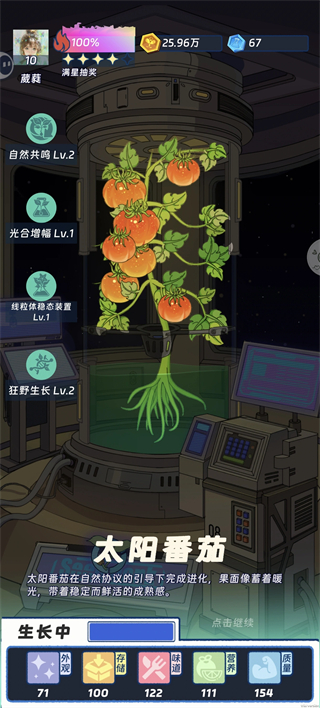 太阳番茄