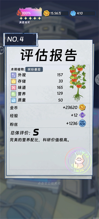缤纷番茄