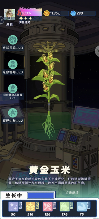 黄金玉米