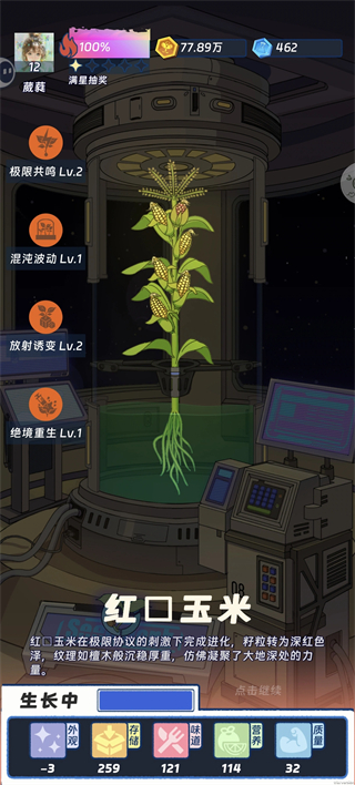 红口玉米