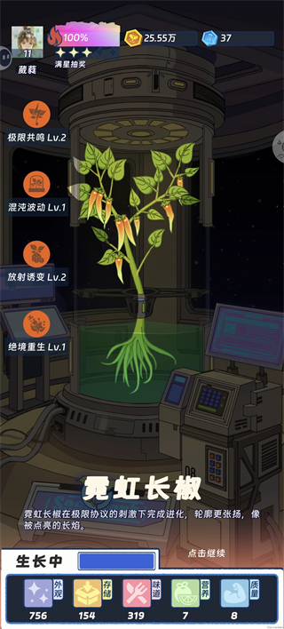 霓虹长椒
