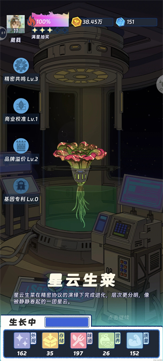 星云生菜