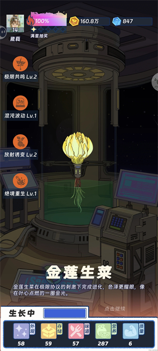 金莲生菜