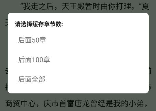 小说缓存方法截图2