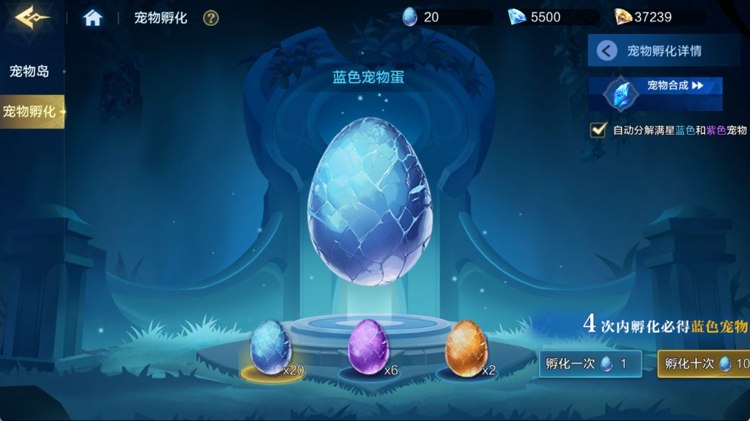 宠物攻略5