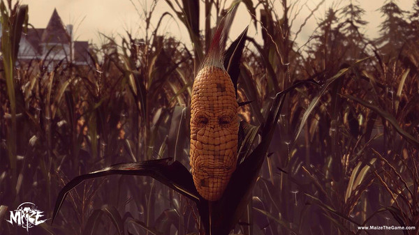 玉米maize 第1张图片