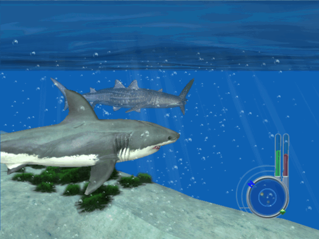 大白鲨游戏下载 第1张图片