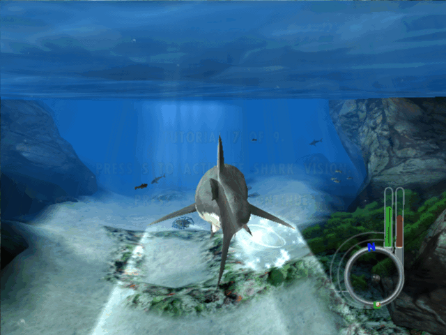 大白鲨游戏下载 第3张图片