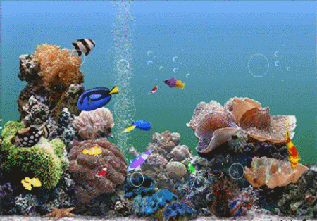 动态水族馆屏保手机版图片
