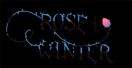 冬天的玫瑰 第1张图片