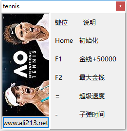 奥洲国际网球修改器截图