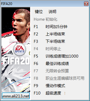 FIFA20终极版十项修改器截图