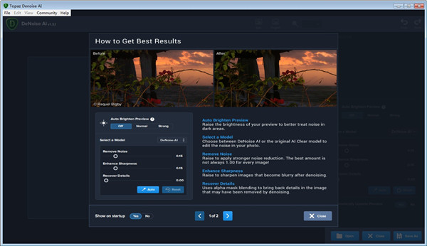 Topaz DeNoise AI特别版 第1张图片