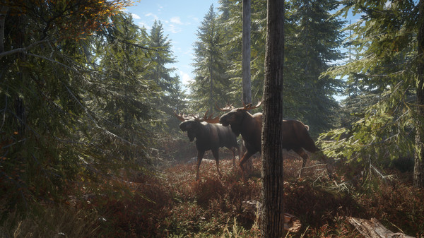 猎人荒野的召唤游戏下载 第1张图片
