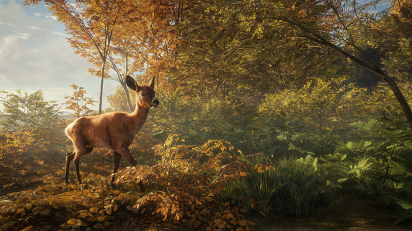 猎人荒野的召唤游戏下载 第7张图片