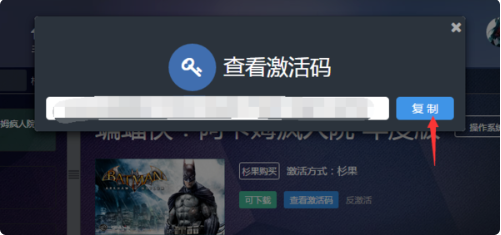 杉果游戏怎么在steam上激活