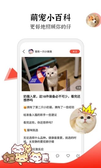 猫猫社app