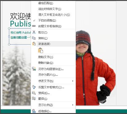 Publisher免费版下载 第1张图片