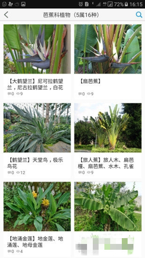 植物大全app截图