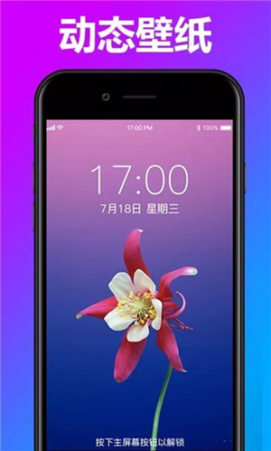 Live动态壁纸app截图