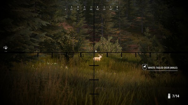 模拟狩猎2破解版 第1张图片